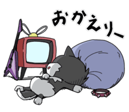 Aco & Raight sticker #2268374