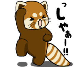 ChaTaro of red pandas sticker #2270166