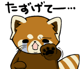 ChaTaro of red pandas sticker #2270169