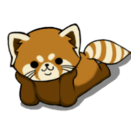 ChaTaro of red pandas sticker #2270175