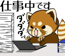 ChaTaro of red pandas sticker #2270177