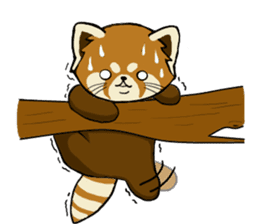 ChaTaro of red pandas sticker #2270178
