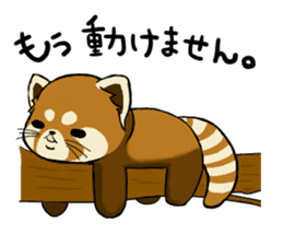 ChaTaro of red pandas sticker #2270179