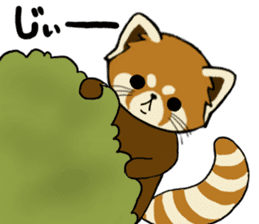 ChaTaro of red pandas sticker #2270190
