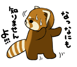 ChaTaro of red pandas sticker #2270193