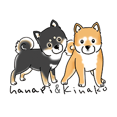 Shiba Inu "Hanapi" & "Kinako" body type