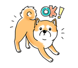 Shiba Inu "Hanapi" & "Kinako" body type sticker #2272064