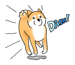 Shiba Inu "Hanapi" & "Kinako" body type sticker #2272066