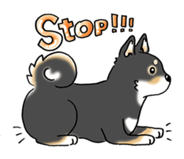 Shiba Inu "Hanapi" & "Kinako" body type sticker #2272067