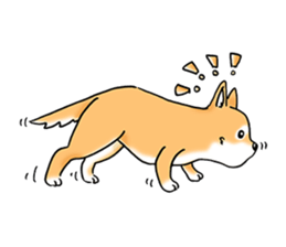 Shiba Inu "Hanapi" & "Kinako" body type sticker #2272070