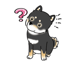 Shiba Inu "Hanapi" & "Kinako" body type sticker #2272071