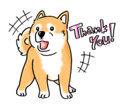 Shiba Inu "Hanapi" & "Kinako" body type sticker #2272072