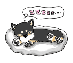 Shiba Inu "Hanapi" & "Kinako" body type sticker #2272073