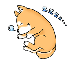 Shiba Inu "Hanapi" & "Kinako" body type sticker #2272074