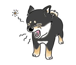 Shiba Inu "Hanapi" & "Kinako" body type sticker #2272075