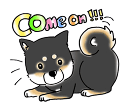 Shiba Inu "Hanapi" & "Kinako" body type sticker #2272077