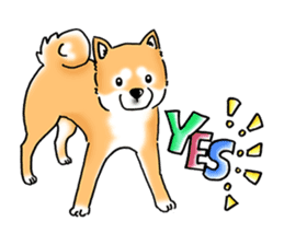 Shiba Inu "Hanapi" & "Kinako" body type sticker #2272078