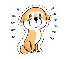 Shiba Inu "Hanapi" & "Kinako" body type sticker #2272080
