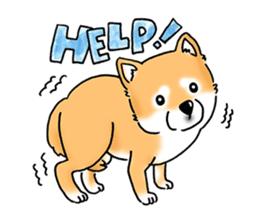 Shiba Inu "Hanapi" & "Kinako" body type sticker #2272082