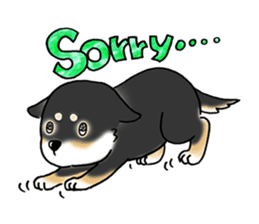 Shiba Inu "Hanapi" & "Kinako" body type sticker #2272085