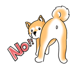 Shiba Inu "Hanapi" & "Kinako" body type sticker #2272086