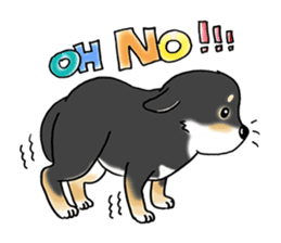 Shiba Inu "Hanapi" & "Kinako" body type sticker #2272087