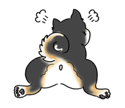 Shiba Inu "Hanapi" & "Kinako" body type sticker #2272089