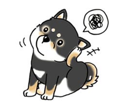 Shiba Inu "Hanapi" & "Kinako" body type sticker #2272091