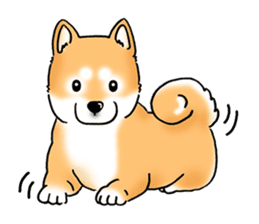 Shiba Inu "Hanapi" & "Kinako" body type sticker #2272092