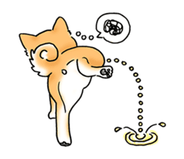 Shiba Inu "Hanapi" & "Kinako" body type sticker #2272094