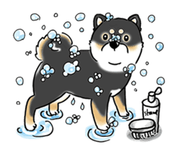 Shiba Inu "Hanapi" & "Kinako" body type sticker #2272095