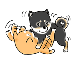 Shiba Inu "Hanapi" & "Kinako" body type sticker #2272096