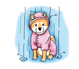 Shiba Inu "Hanapi" & "Kinako" body type sticker #2272097
