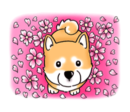 Shiba Inu "Hanapi" & "Kinako" body type sticker #2272100