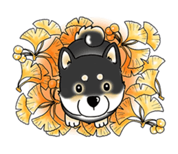 Shiba Inu "Hanapi" & "Kinako" body type sticker #2272102