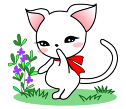 Sweet white cat sticker #2272518