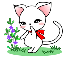 Sweet white cat sticker #2272518