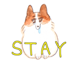 good boy mailo 3 English version sticker #2273402