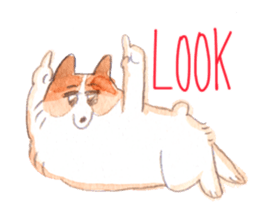 good boy mailo 3 English version sticker #2273404