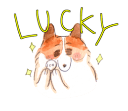 good boy mailo 3 English version sticker #2273407