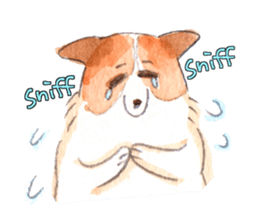 good boy mailo 3 English version sticker #2273417