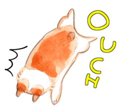 good boy mailo 3 English version sticker #2273422