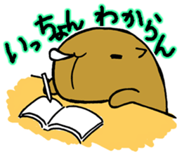 Nagasaki dialect of the capybara sticker #2277410