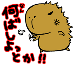 Nagasaki dialect of the capybara sticker #2277419
