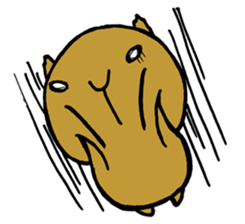 Nagasaki dialect of the capybara sticker #2277427