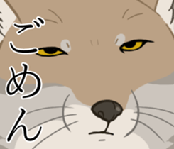 Tibetan sand fox stickers! sticker #2278122