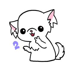 Mamechiyo of Chihuahua 2nd