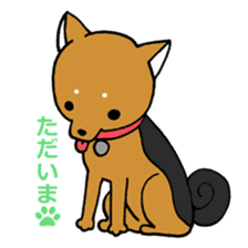 Mamechiyo of Chihuahua 2nd sticker #2279313