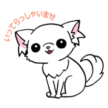 Mamechiyo of Chihuahua 2nd sticker #2279314