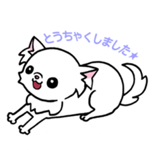 Mamechiyo of Chihuahua 2nd sticker #2279318